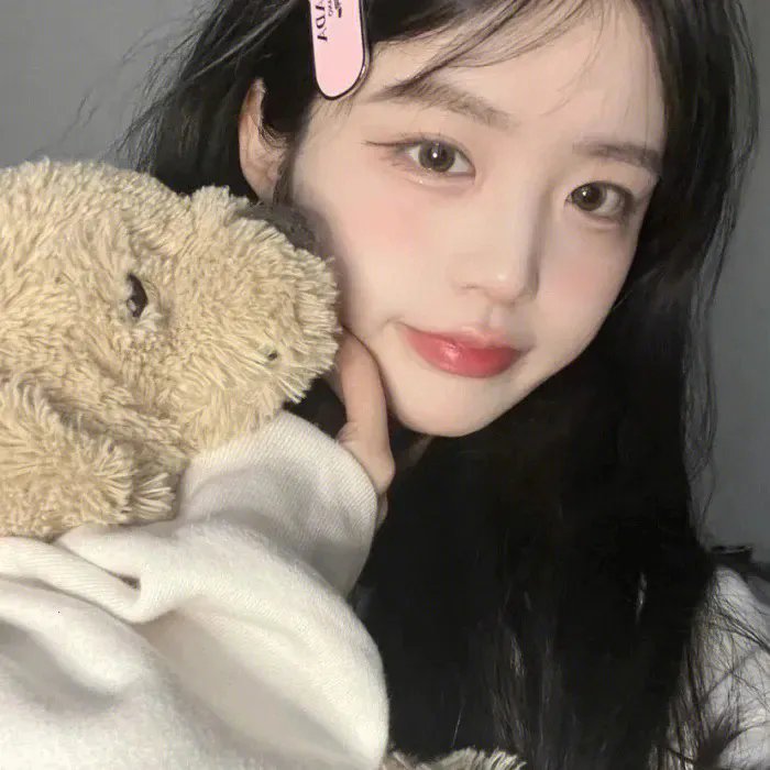 猎鹰飞过